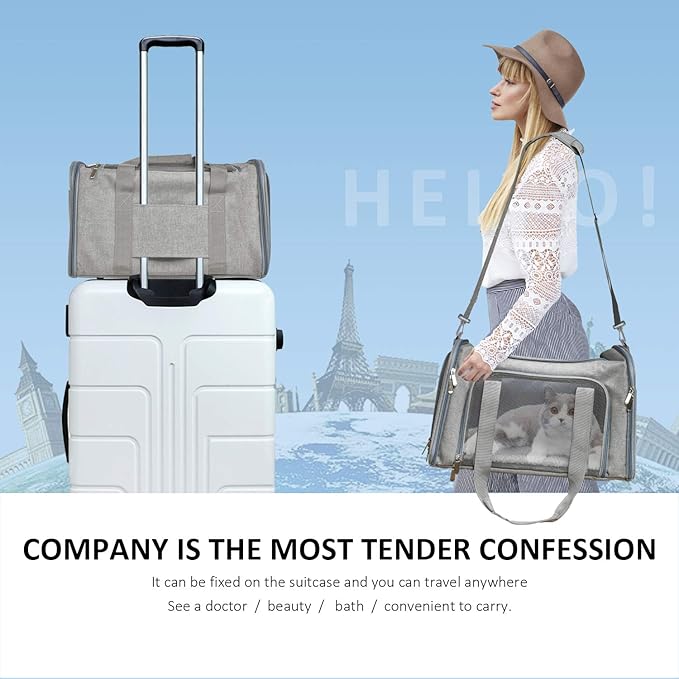Henkelion Cat Carriers Dog Carrier Pet Carrier - Image 7
