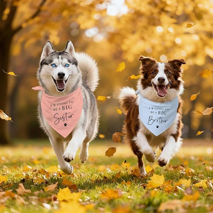 2 Pack Dog Bandanas for Pregnancy Announcement, I'm Going to Be A Big Brother - Image 6