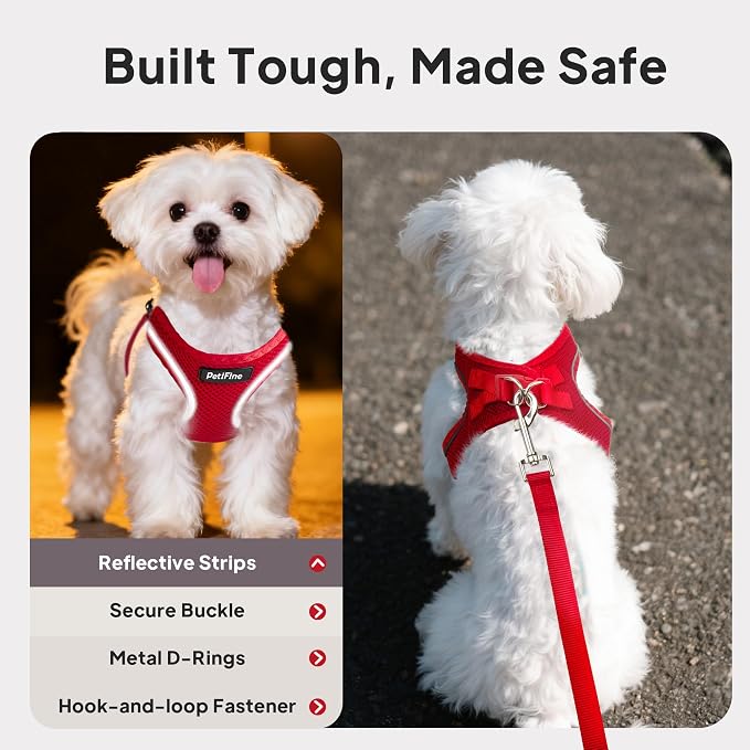 PetiFine Step in Small Dog Harness and Leash Set, Breathable All Weather Air - Image 4