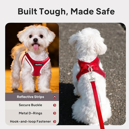 PetiFine Step in Small Dog Harness and Leash Set, Breathable All Weather Air - Image 4