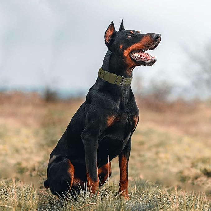 Tactical Dog Collar Military Adjustable Dog Collars Soft Nylon Training Collar - Image 7