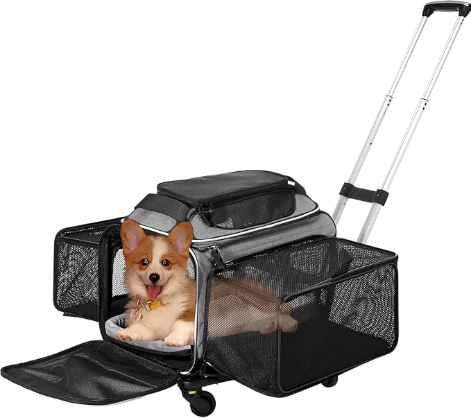 Airline Approved Top-Expanding Pet Carrier on Wheels- Extra Spacious Soft Lined by CozyCruiser