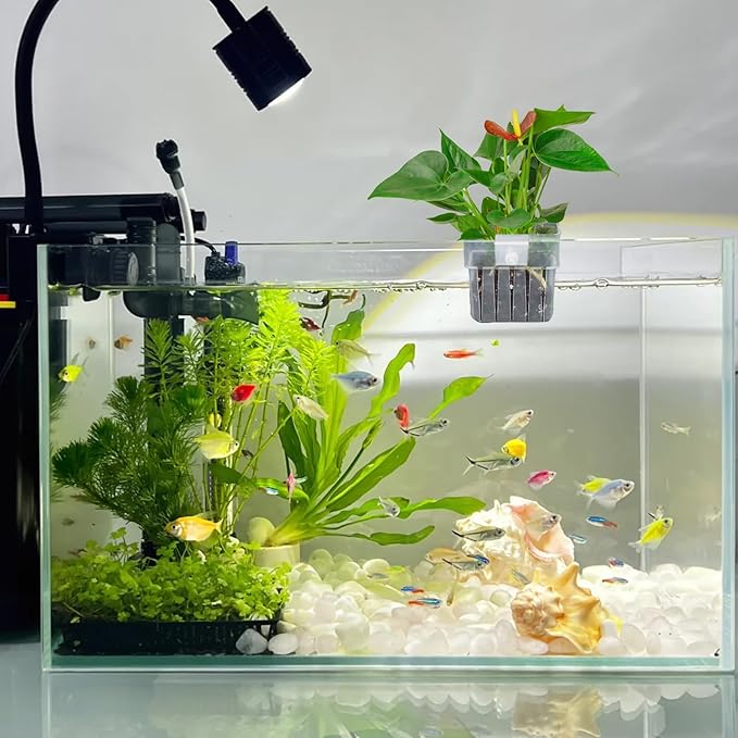 2PCS Aquarium Plant Holder - Image 7