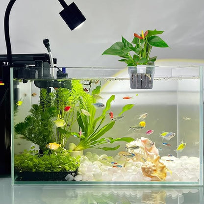 2PCS Aquarium Plant Holder - Image 7