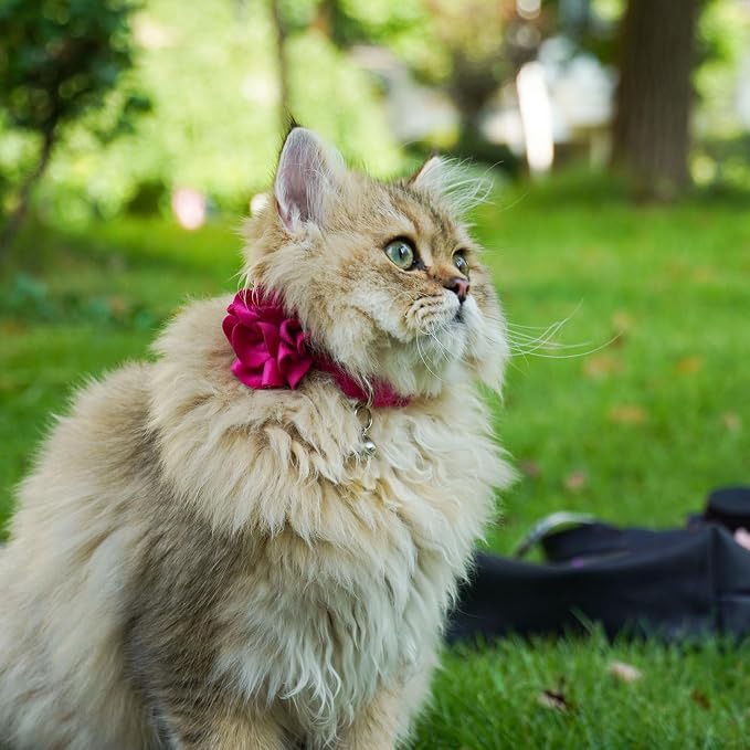 azuza 2 Pack Cat Collar Floral - Image 5