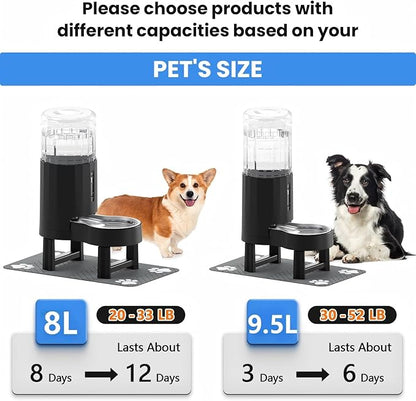 CZPET Elevated Dog Water Bowl Dispenser - Image 6