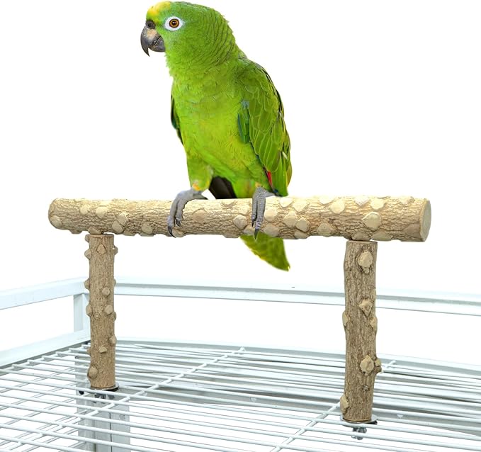 Bird Perch Stand, Bird Cage Top Perch Gym, Natural Wood Parrot Branch by KINTOR