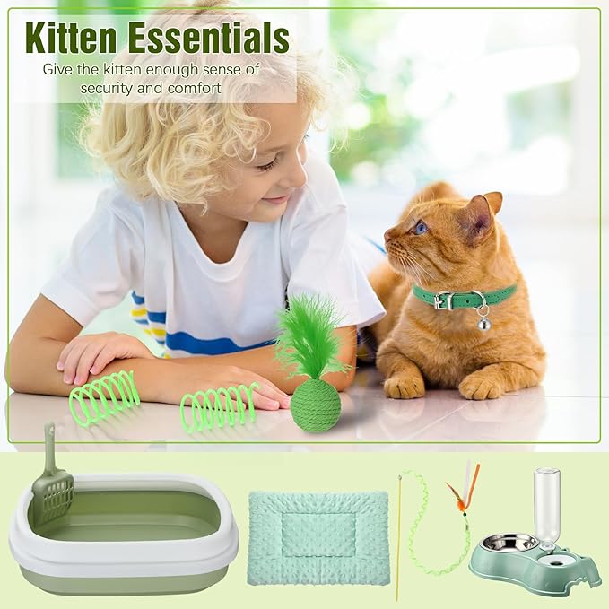 Eccliy Kitten Starter Kit, Pet Toy, Folding Carrier, Climbing Frame, Automatic - Image 4