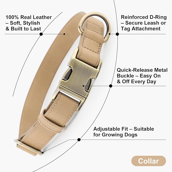 Plutus Pet Genuine Leather Dog Collar – Adjustable Pet Collar - Image 2