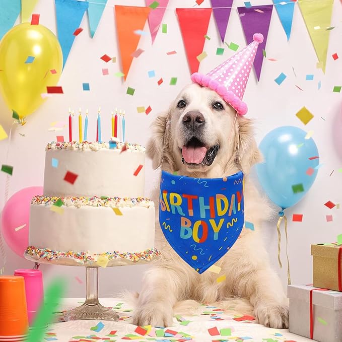Birthday Boy Dog Bandana, Printed Dog Bandana Pet Scarf Dog Birthday Party - Image 2