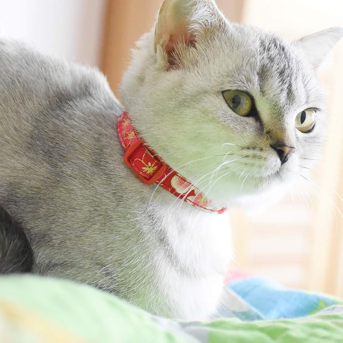 Breakaway Cat Collars with Bell, Durable & Safe Cute Kitten Collars Safety - Image 6