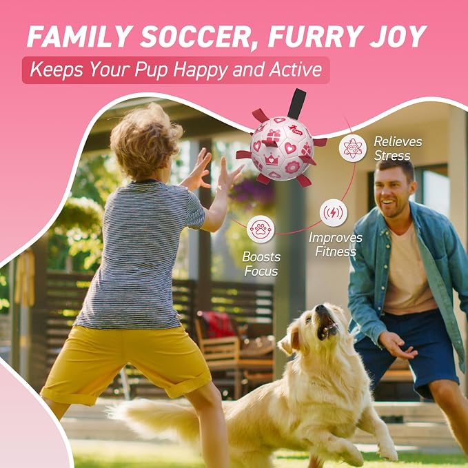 QDAN Valentines Gift Dog Toys, Interactive Tug of War Toy, Puppy Birthday Gifts - Image 3