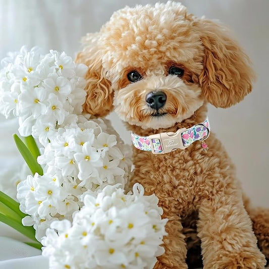 Floral Dog Collar for Large Dogs - Image 2