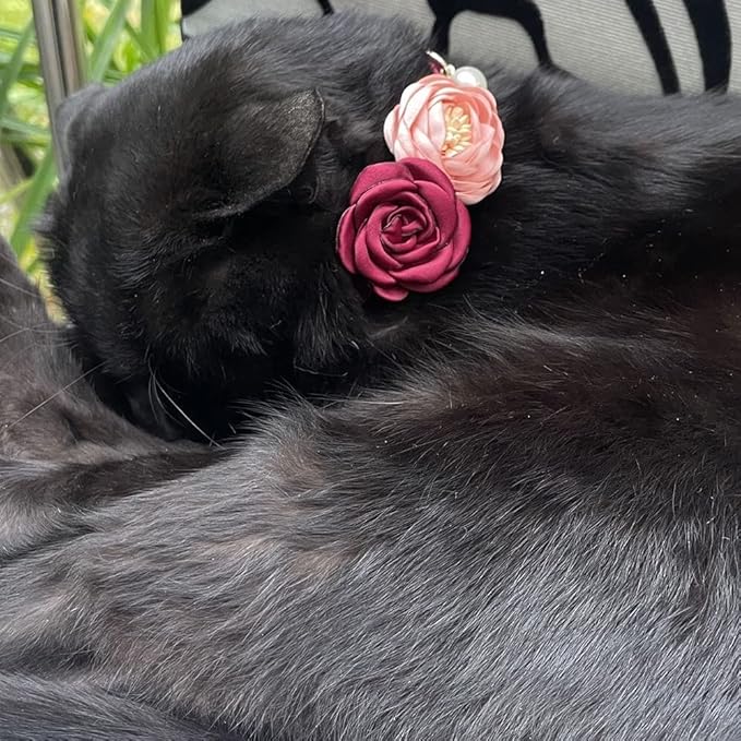 Fupo Cat Collar Breakaway with Flower - Image 6