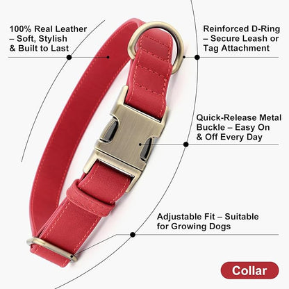 Plutus Pet Genuine Leather Dog Collar – Adjustable Pet Collar - Image 2