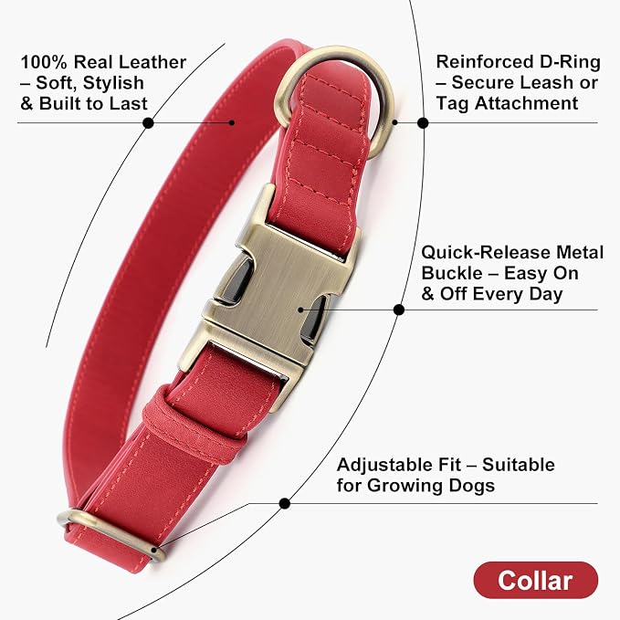 Plutus Pet Genuine Leather Dog Collar – Adjustable Pet Collar - Image 2