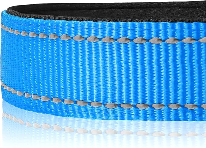 Joytale Reflective Dog Collar, Soft Neoprene Padded, Metal D-Ring, Nylon Pet - Image 4