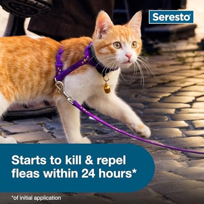 Seresto Cat Vet-Recommended Flea & Tick Treatment & Prevention Collar - Image 5