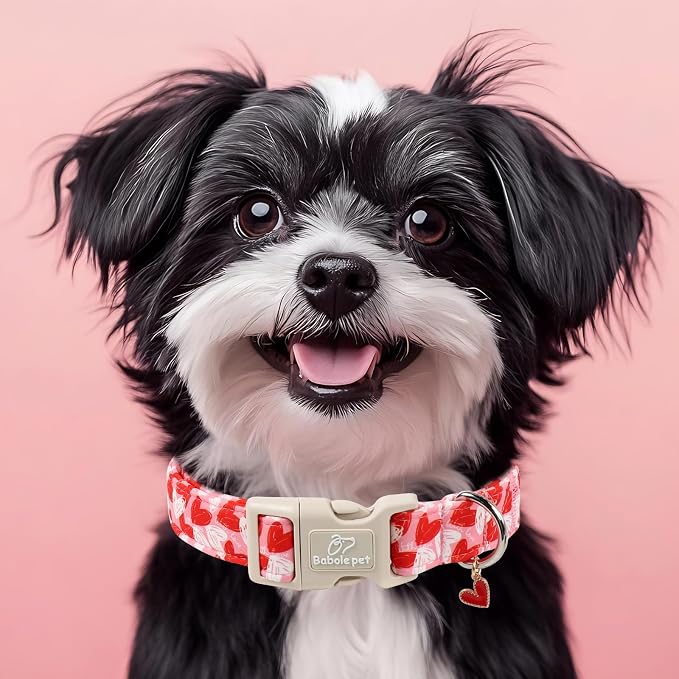 Valentines Dog Collar for Medium Dogs - Image 7