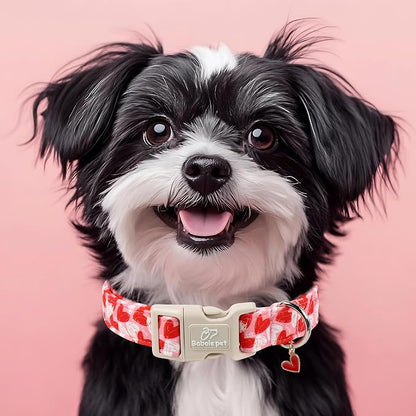 Valentines Dog Collar for Medium Dogs - Image 7