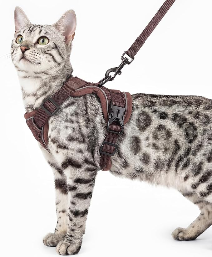 Cat Harness and Leash Set Escape Proof Tactical Small Kitten Harness Emotional by pangdi