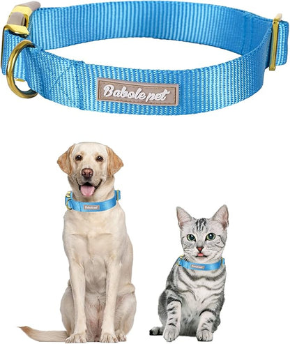 Nylon Dog Collar - Image 2