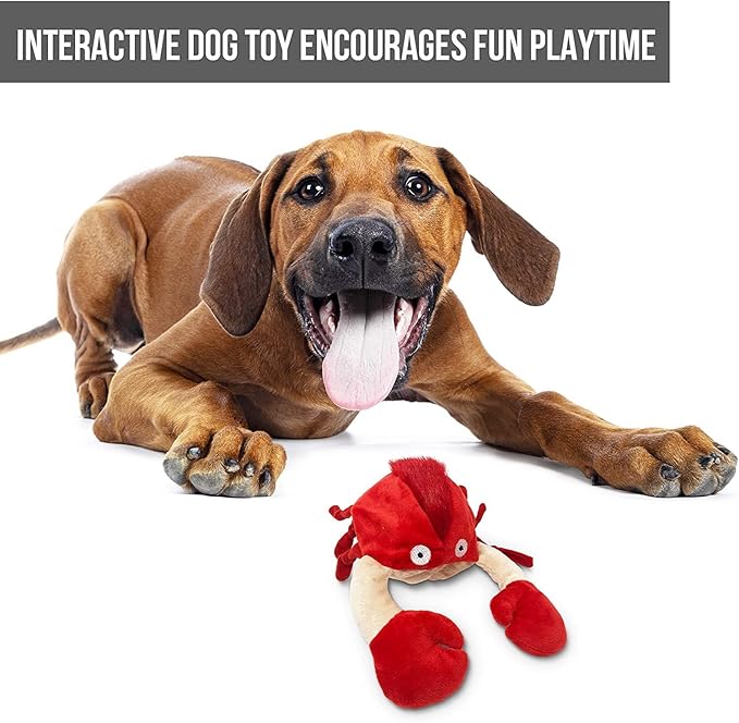 Hyper Pet Doggie Pal Interactive Dog Toys - Image 6
