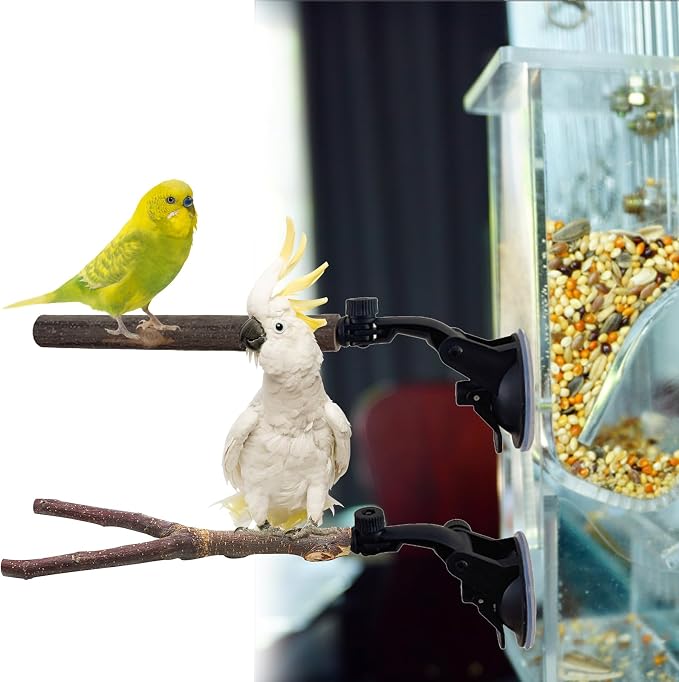 Natural Wood Bird Perch Stand - Image 6