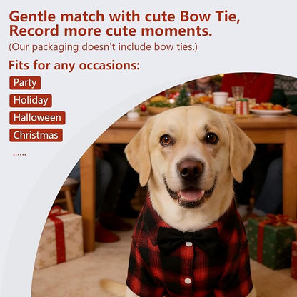 Koneseve Dog Shirt - Image 5