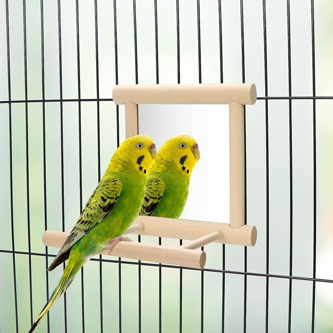 Bird Mirror with Perch Bird Toys - Image 3