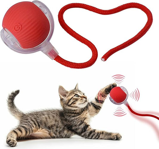 Interactive Cat Dog Toy Ball: Indoor Small Automatic Moving Smart Rolling Fun by AEBDERP