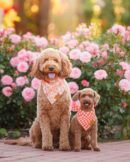 Remy+Roo Large Spring Dog Bandanas - Image 2