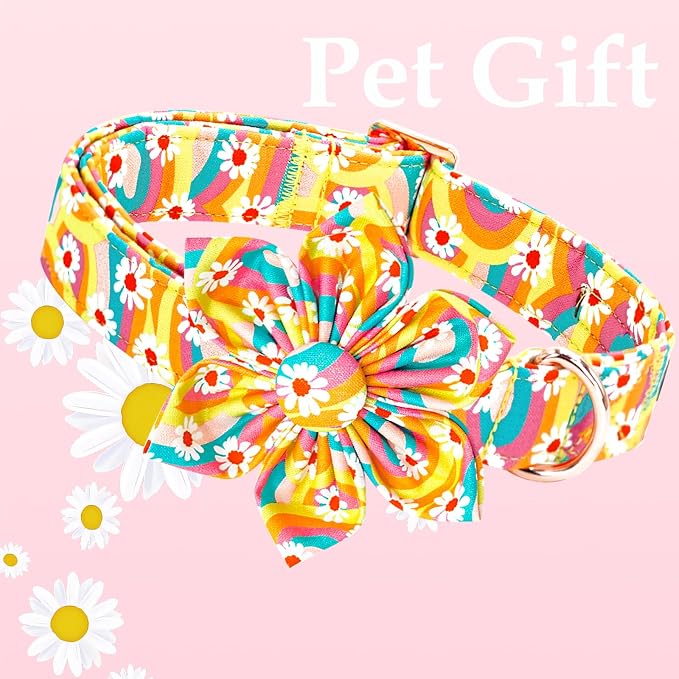 Lionheart glory Dog Collar - Image 3