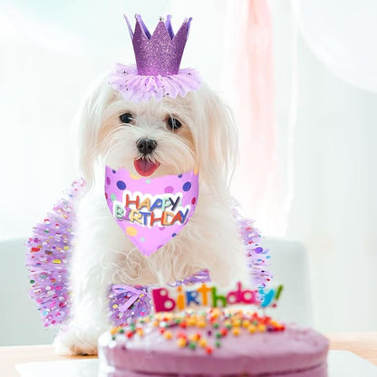 Dog Birthday Bandana with Hat and Dress Girl Set, Dog Birthday Hat Bandana Girl - Image 5