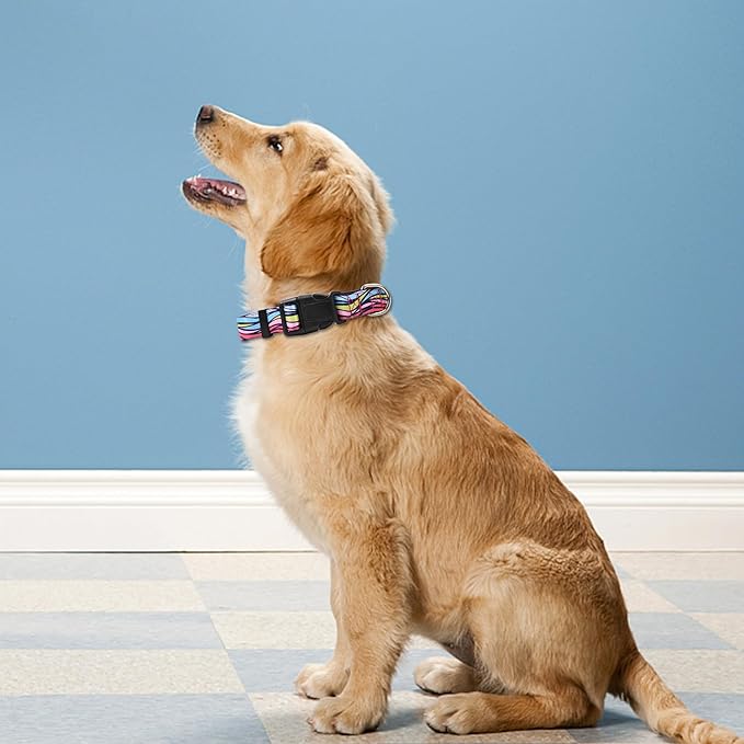 Reflective Dog Collar, Adjustable Soft Neoprene Padded Nylon Pet Collars - Image 2