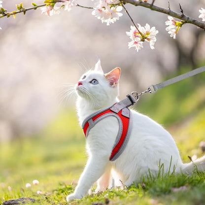 SCENEREAL Cat Harness and Leash Set Escape Proof, Adjustable Soft Air Mesh - Image 6