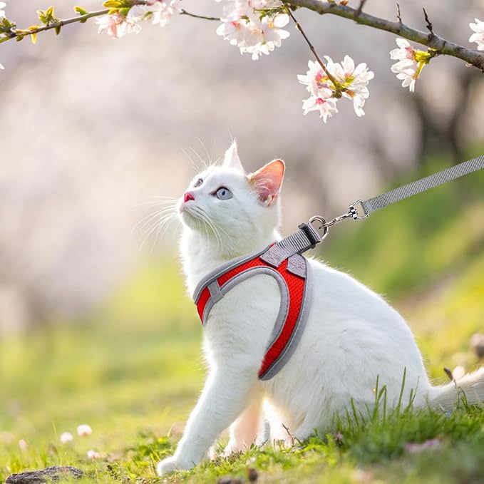 SCENEREAL Cat Harness and Leash Set Escape Proof, Adjustable Soft Air Mesh - Image 5