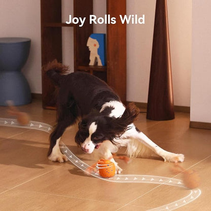 Cheerble Smart Interactive Dog Toy, Wicked Ball Rolly, Automatic Moving - Image 8