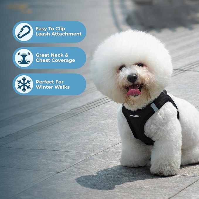 Best Pet Supplies - Image 5
