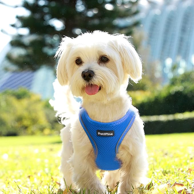 PetiFine Step in Small Dog Harness and Leash Set, Breathable All Weather Air - Image 8