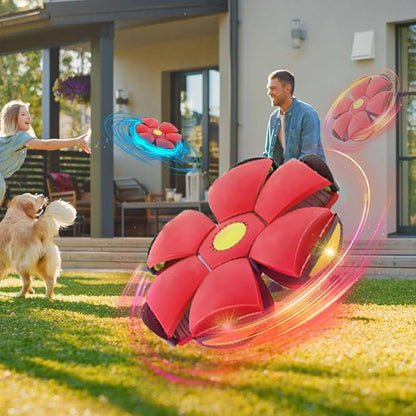 3PCS Dog Flying Disc Toy - Image 4