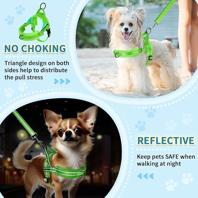 SlowTon No Pull Small Dog Harness and Leash Set, Puppy Soft Vest Harness Neck & - Image 3