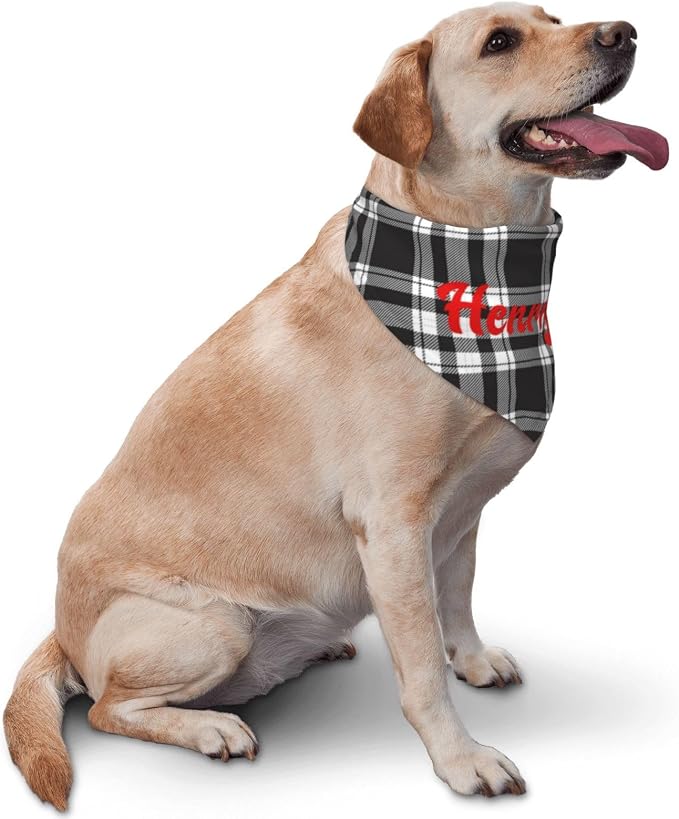 Custom Pet Scarf Personalized Dog Bandana - Image 2