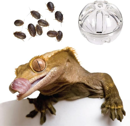 Bearded Dragon Feeder Toy Reptile Foraging Ball Lizard Enrichment Interactive - Image 5