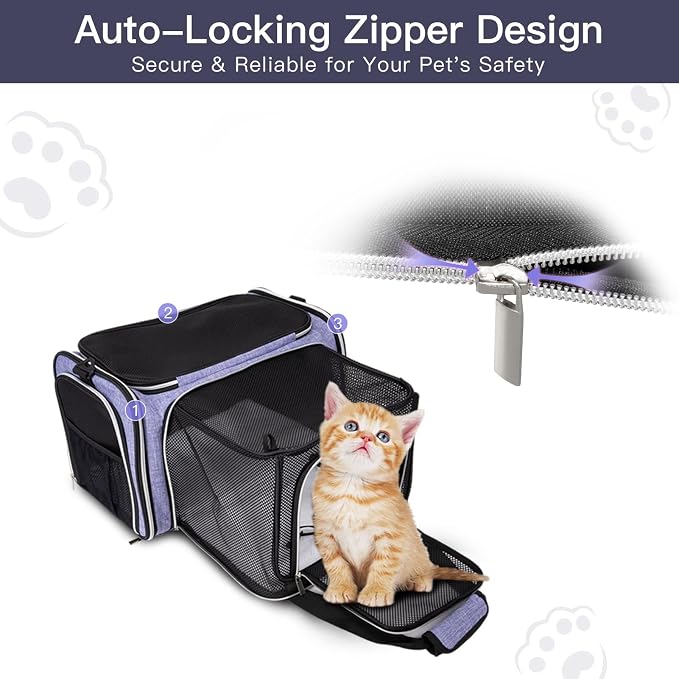BAGLHER Cat Carrier Bag, Airline Approved Pet Carrier Soft Side Pet Travel 5 - Image 4