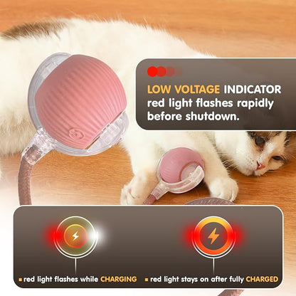 Rocfish Durable Interactive Cat Toys - Image 7