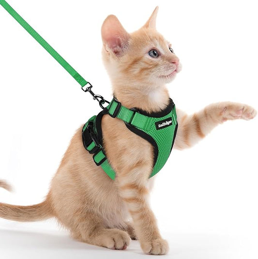 rabbitgoo Cat Harness and Leash by rabbitgoo
