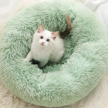 Cat Beds for Indoor Cats - Image 2