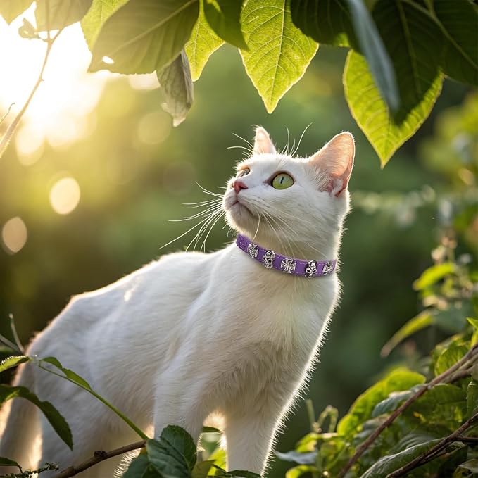 EXPAWLORER Leather Cat Collar for Girl Boy- Adjustable Pet Collar - Image 8