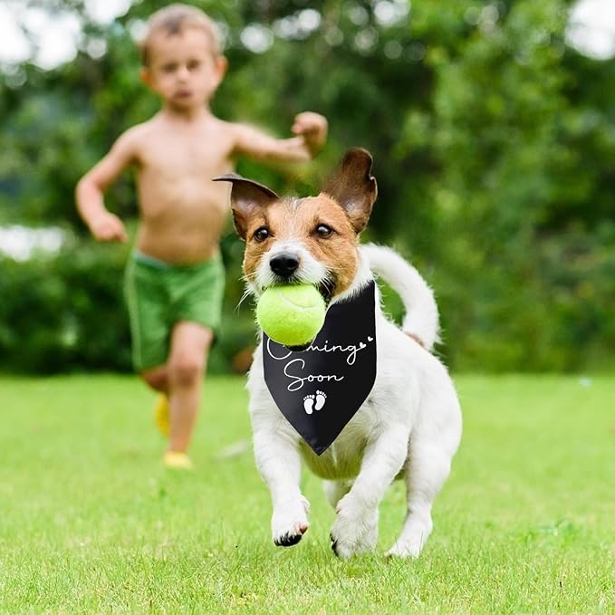 Baby Coming Soon Announcement Dog Bandana Gender Reveal Baby Announcement Pet - Image 5